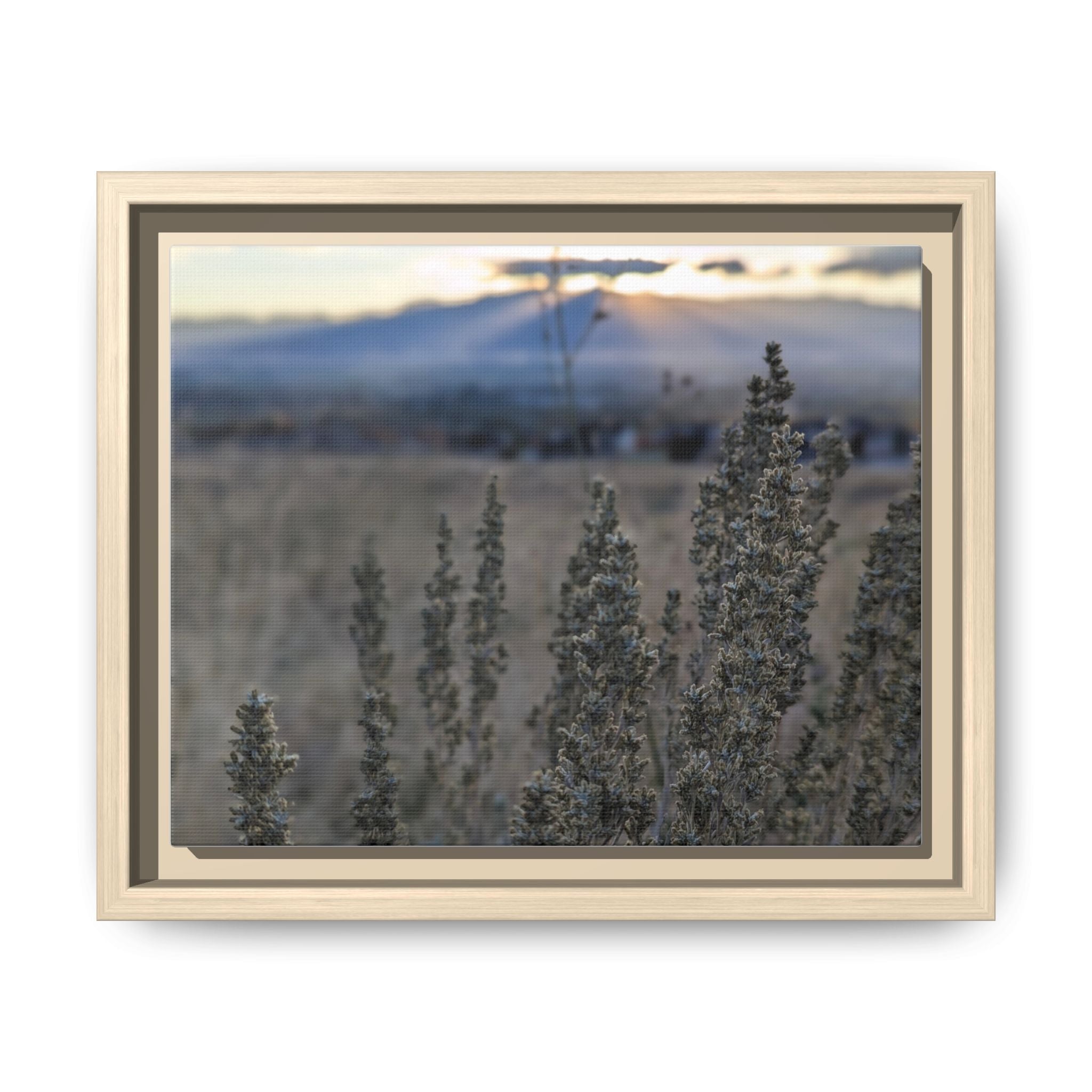 Matte Canvas, Framed (Multi-color)